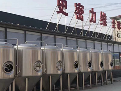 温州精酿啤酒设备厂—市场规模与跨界新需求